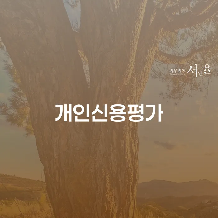 개인회생 법무사 비용 무이자 자체 분납 가능하고 빚 해결할 접수를