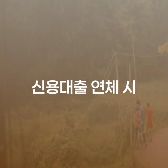 개인회생무료법률상담센터 대출 연체 개인회생 어떻게 해야하는지