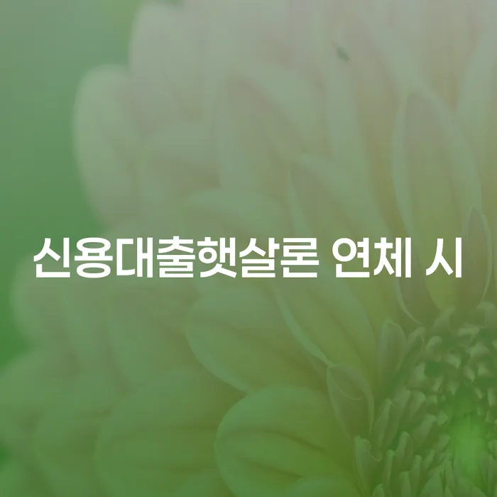 개인회생면책신청 대출 받은 돈채무조정 무료상담