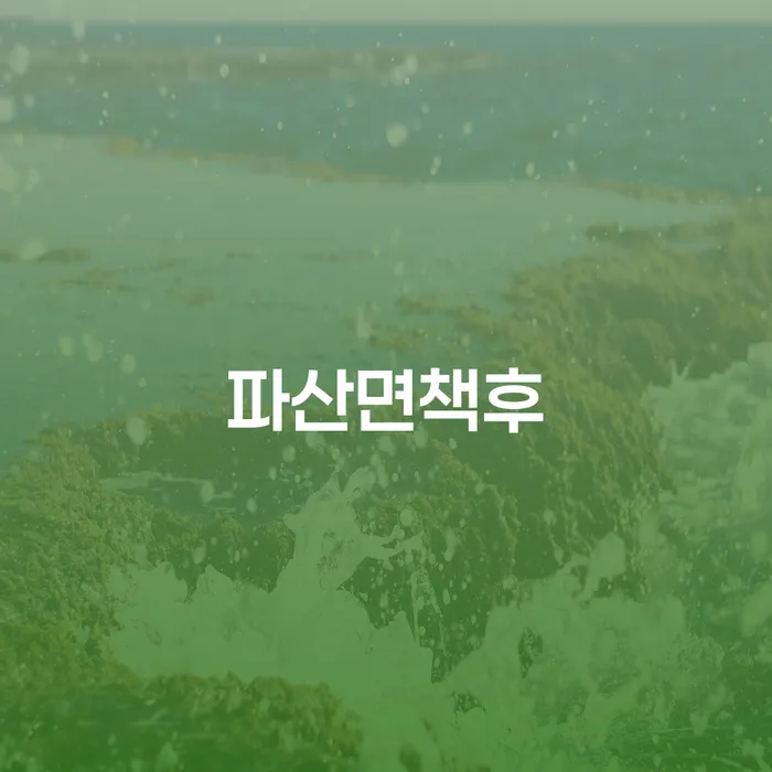 개인회생기각사유 빚독촉 확실한 진행
