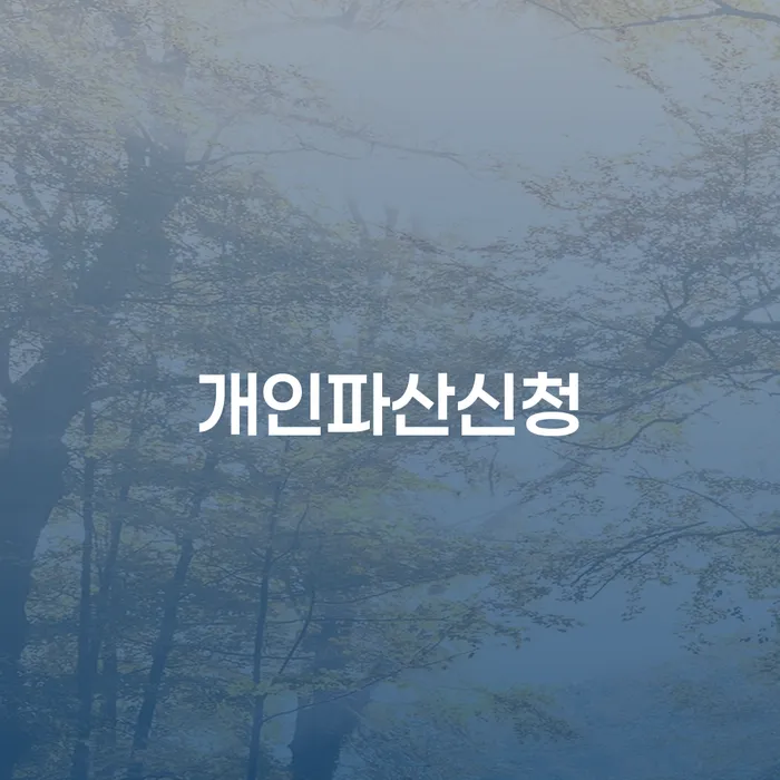 노원구 회생파산 채무 효과적인 해결방법 지금알아보기