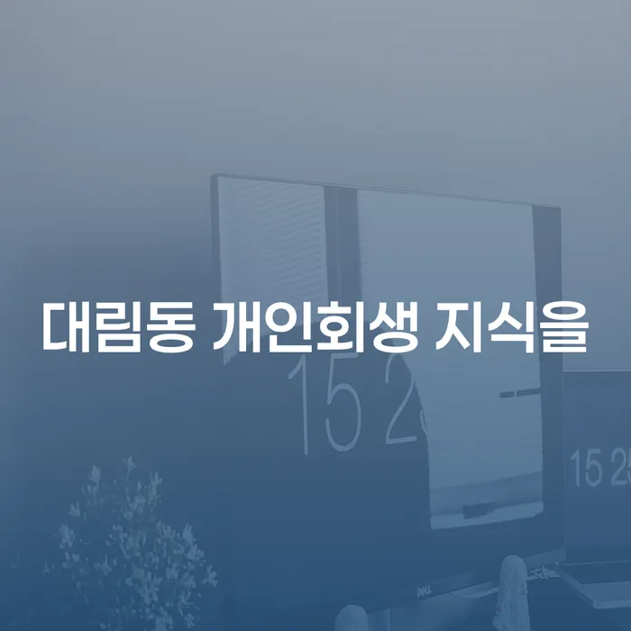 대림동 개인회생 지식을