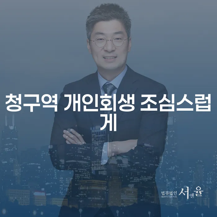 청구역 개인회생 조심스럽게