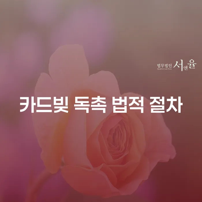 카드빚 독촉 법적 절차: 어떻게 대응해야 할까요?