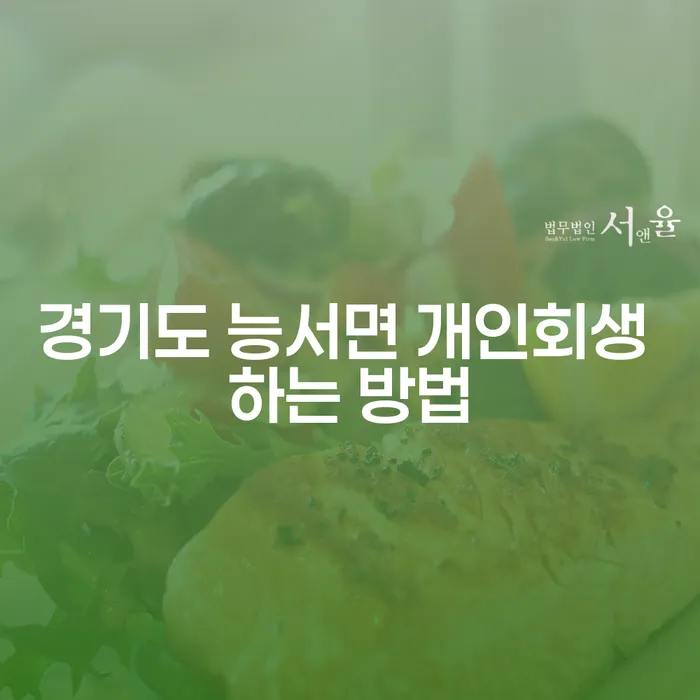 경기도 능서면에서 개인회생을 진행하는 가장 효과적인 방법은 무엇일까요?
