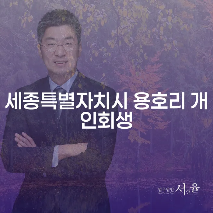 세종특별자치시 용호리 개인회생을 신청하는 방법은?
