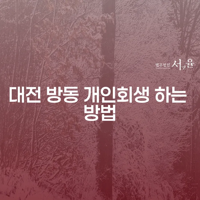 대전 방동에서 개인회생을 성공적으로 진행하려면 어떻게 해야 할까요?