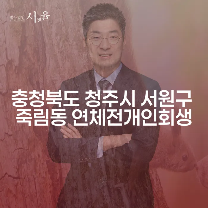 충청북도 청주시 서원구 죽림동 연체전개인회생, 어떻게 해결할 수 있을까요?