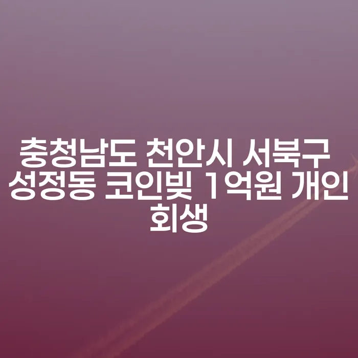 충청남도 천안시 서북구 성정동 코인빚 1억원, 개인회생으로 해결할 수 있을까요?