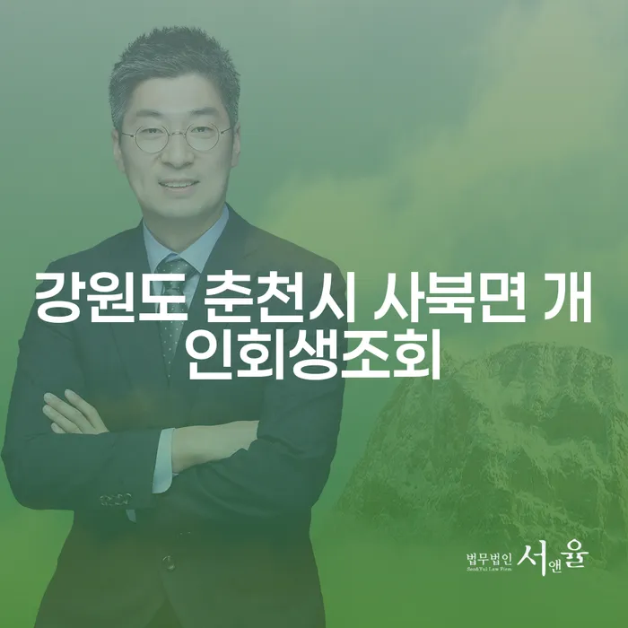 강원도 춘천시 사북면에서 개인회생을 고려하고 계신가요?