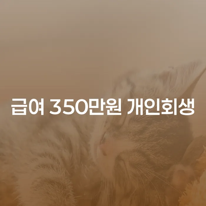 급여 350만원으로 개인회생 가능한가요? 광명시 개인회생사무소에서 알아보세요!