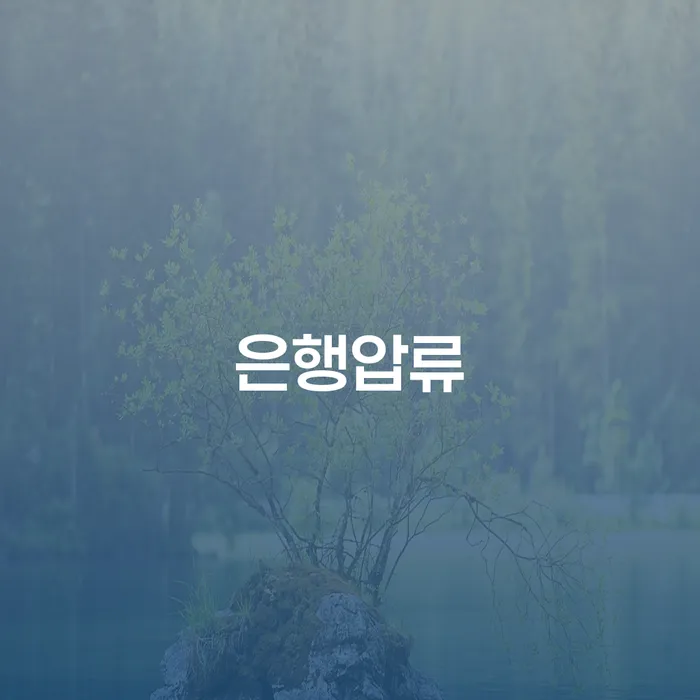 은행압류 상황에서 개인회생과 개인파산 활용법, 어떻게 해야 할까요?
