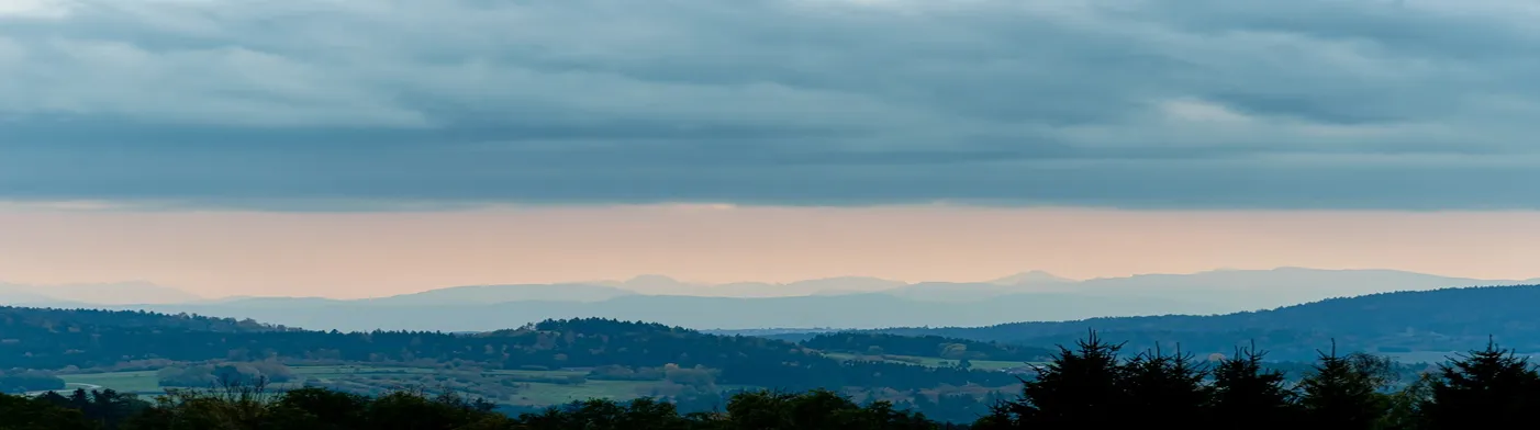 법무법인 서앤율
