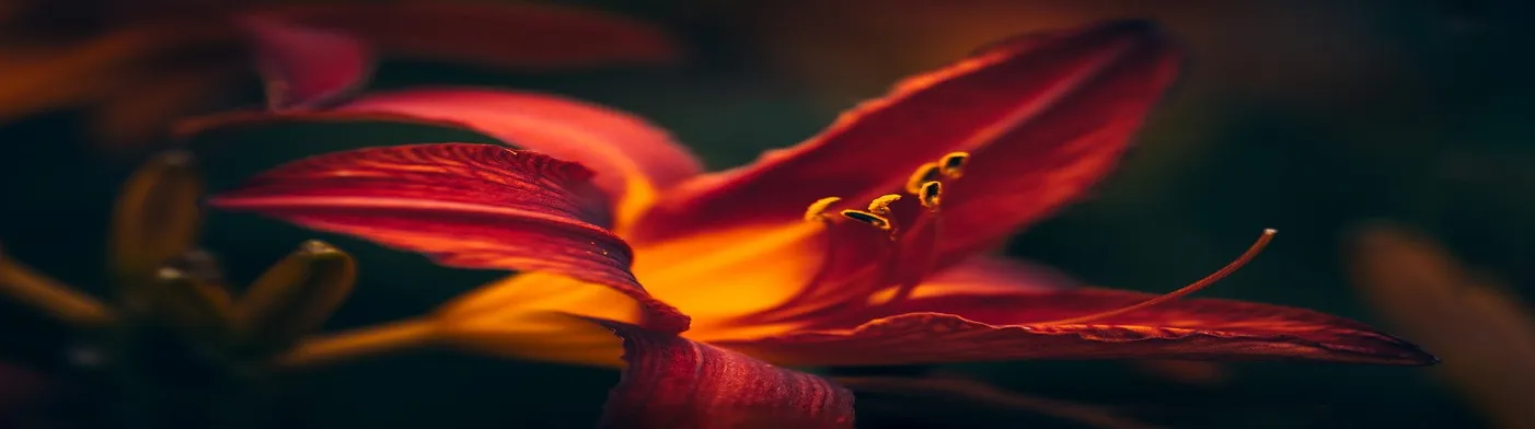 법무법인 서앤율